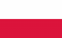 Polish Polish