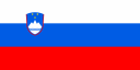 Slovenian Slovenian